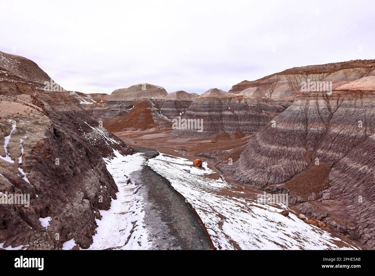 Blue Mesa Scenic Trail, Petrified Forest National Park, Arizona, USA Foto Stock