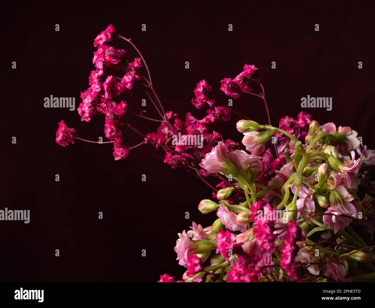 Vaso in ceramica con fiori riempito con una bella composizione di rose rosa e altre fiorite colorate, su uno sfondo scuro Foto Stock
