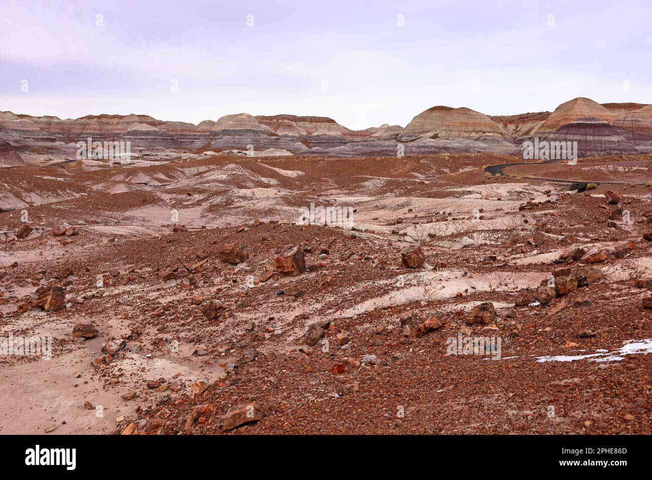 Blue Mesa Scenic Trail, Petrified Forest National Park, Arizona, USA Foto Stock