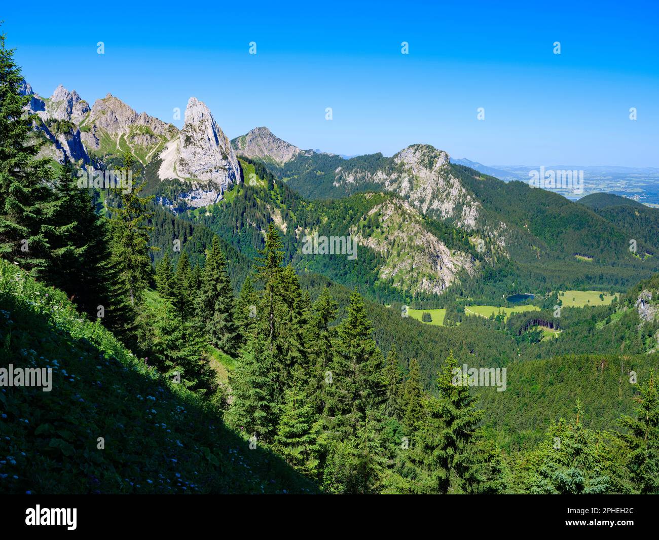Vista verso il monte Geiselstein e le zone umide di Kenzenmoos. Parco Naturale Alpi Ammergau (Ammergauer Alpen) nelle Alpi calcaree settentrionali dell'alta Bavari Foto Stock