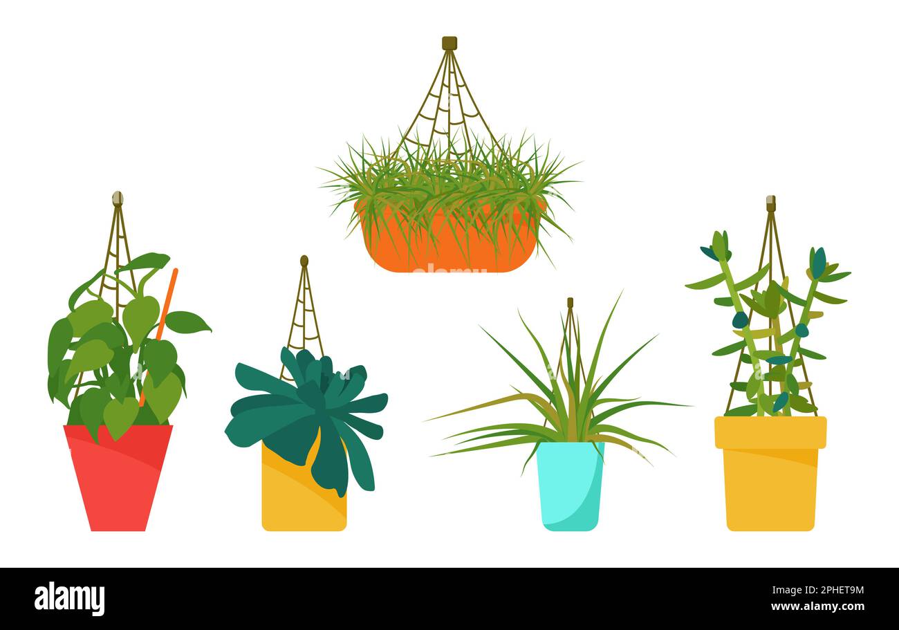 Set di piante di casa. Interni dal design scandinavo. Elemento di progettazione. Illustrazione vettoriale Illustrazione Vettoriale