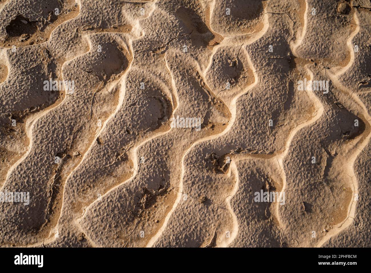 Modelli, increspature fatte da acqua nella sabbia, terra. primo piano della texture. Modelli di terra dall'alto. Damaraland, Namibia, Africa Foto Stock