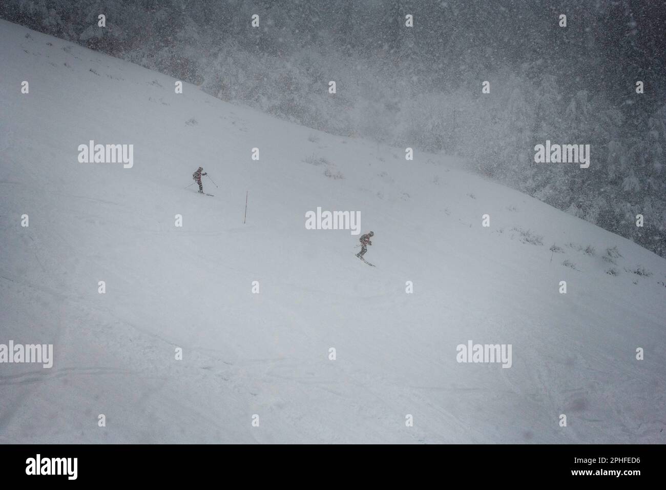 Due sci giù in pista fortemente nevicata Foto Stock