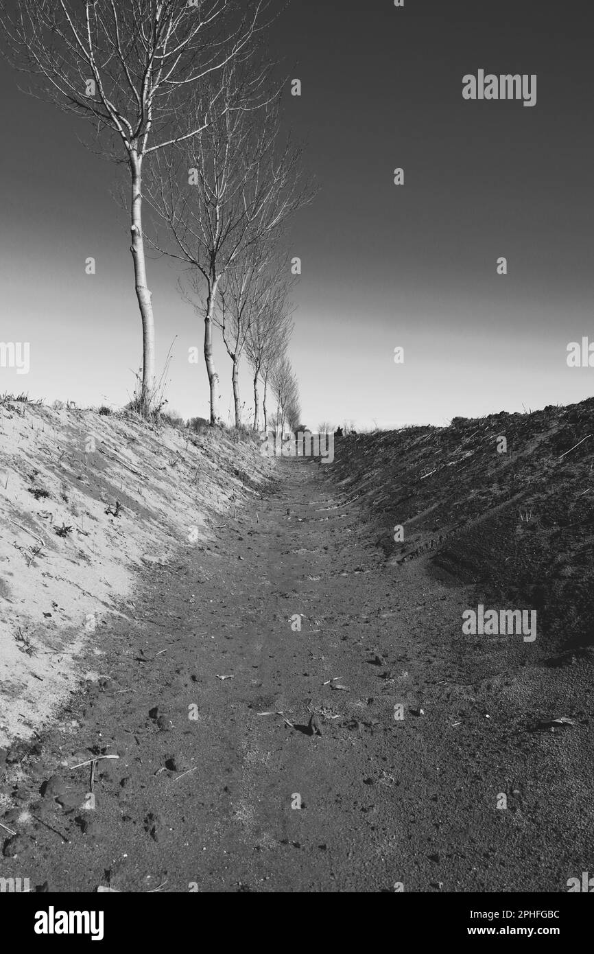 Fossati di irrigazione asciutti nei campi Foto Stock