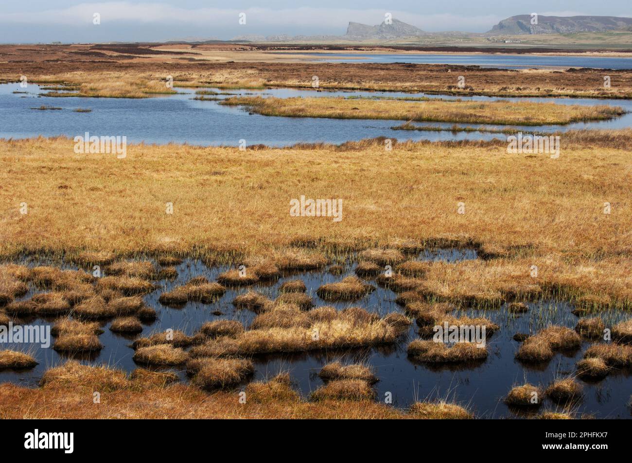 Loch Gorm e le paludi d'acqua dolce circostanti, Islay, Inner Hebrides, Scozia, aprile 2007 Foto Stock