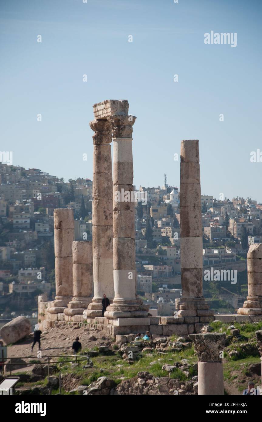 Resti del Tempio di Ercole , la Cittadella, Amman, Giordania Foto Stock