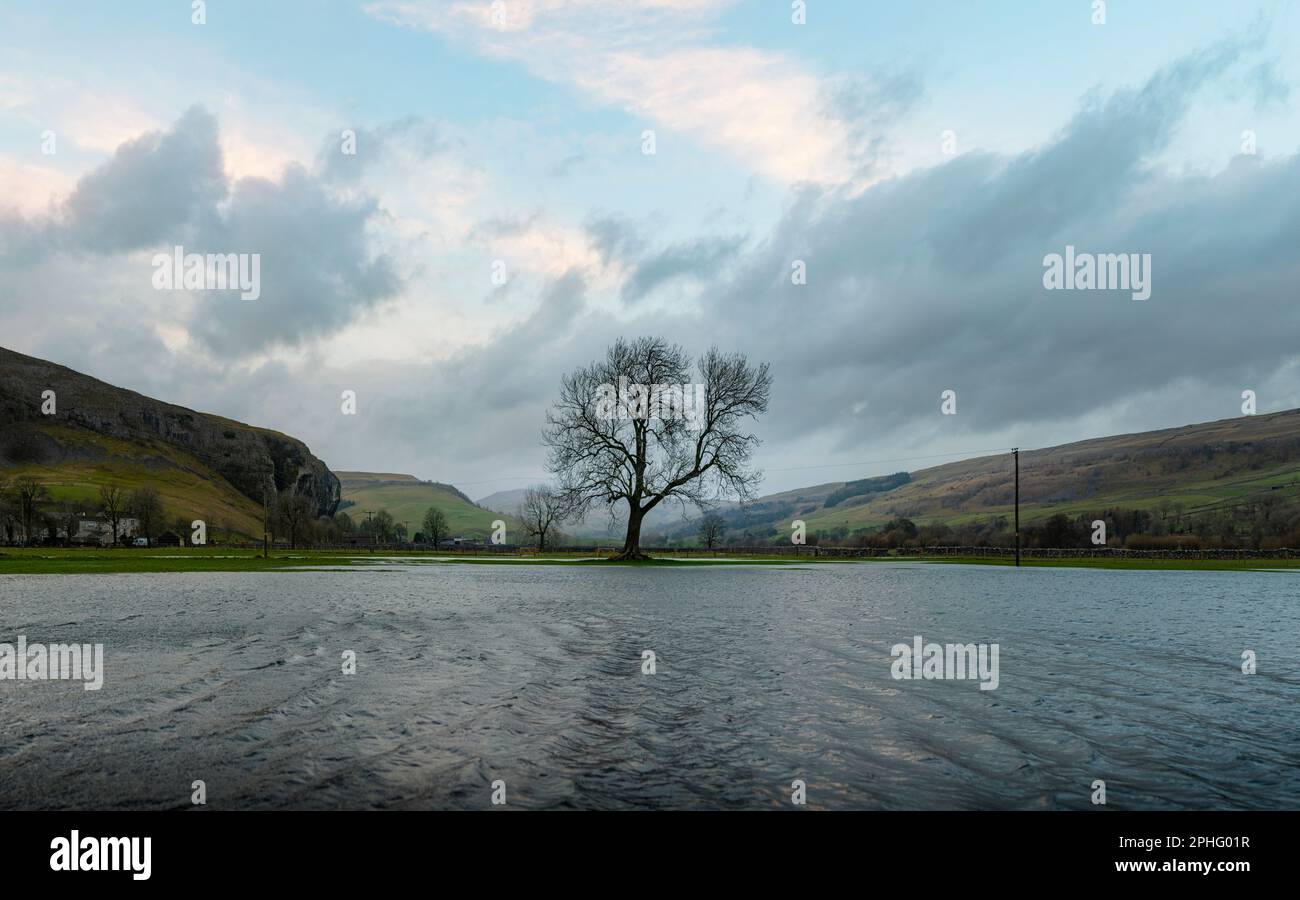 Un albero nella valle allagata di Upper Wharfedale nelle Yorkshire Dales in una giornata tempesta Foto Stock
