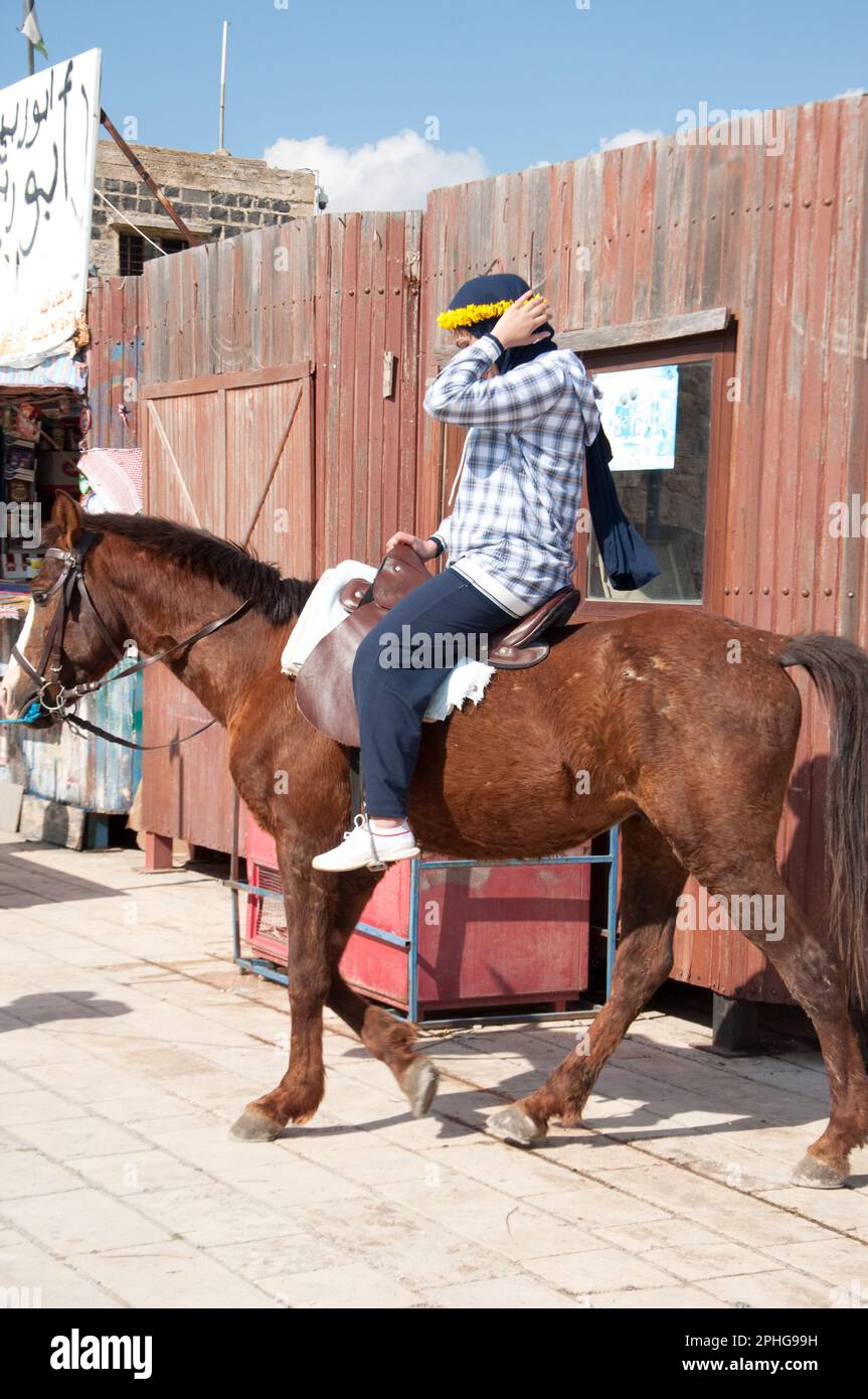 Horse for hire, Umm Quais, Irbid Governatate, Giordania, Medio Oriente Foto Stock