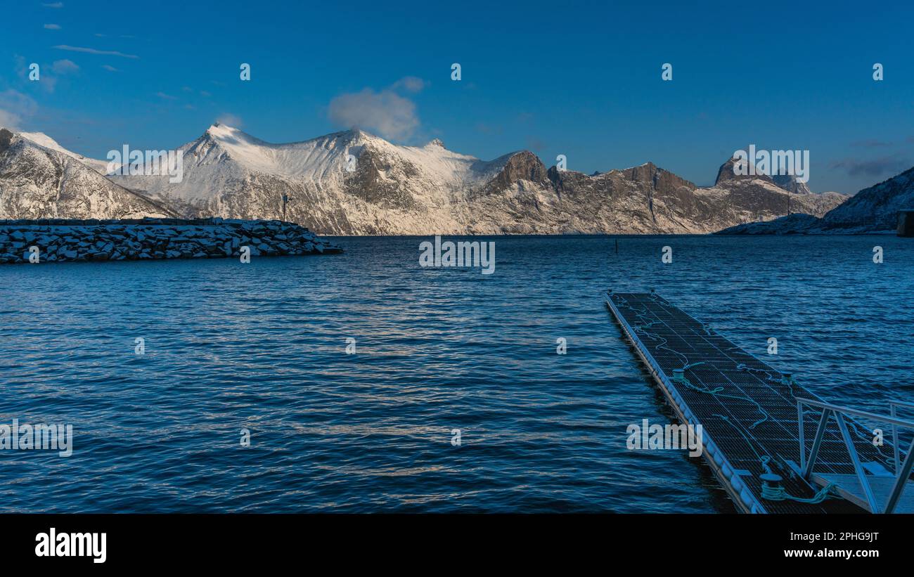 Vista panoramica sui fiordi e sulle ripide montagne innevate da Senja, Norvegia. Barca, pesci secchi, cespugli innevati e betulle sulla spiaggia. inverno Foto Stock