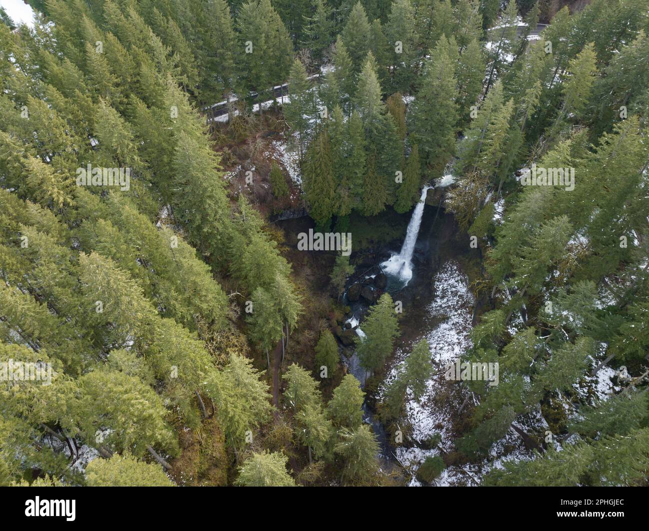 Silver Creek scorre sulle splendide North Falls vicino a Silverton, Oregon. Questa zona panoramica e fortemente boschiva ha molte cascate impressionanti. Foto Stock