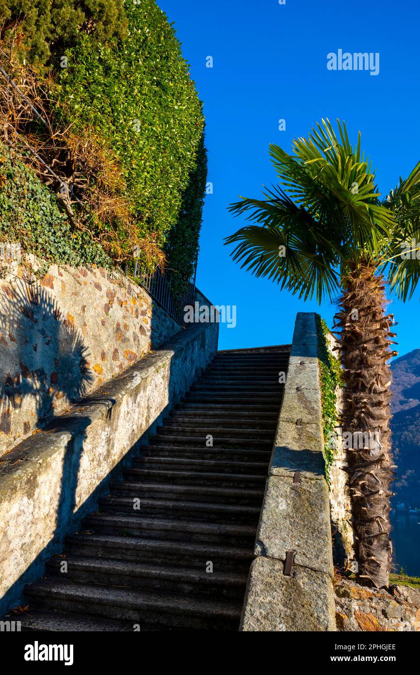 Scalinata per la Chiesa di Santa Maria del Sasso contro il cielo azzurro sulla montagna in una giornata di sole a Morcote, Ticino in Svizzera. Foto Stock Scalinata per la Chiesa di Santa Maria del Sasso contro il cielo azzurro sulla montagna in una giornata di sole a Morcote, Ticino in Svizzera. Foto Stock