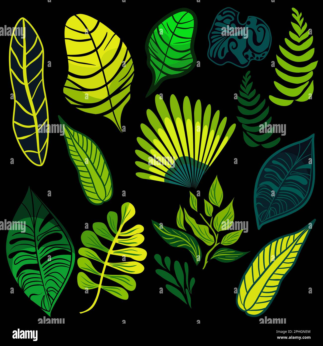 Set di piante tropicali della foresta pluviale illustrazione vettoriale Illustrazione Vettoriale