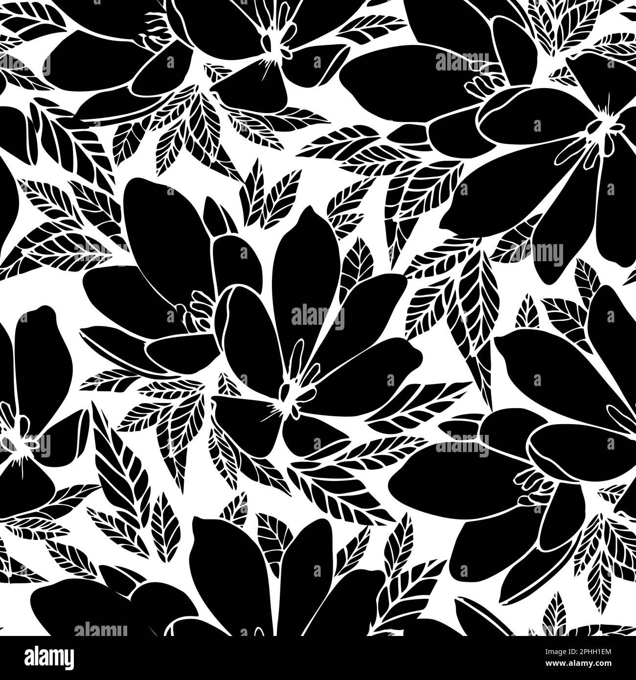 motivo asimmetrico con contorno nero floreale senza cuciture su sfondo bianco, design, sfondo Foto Stock