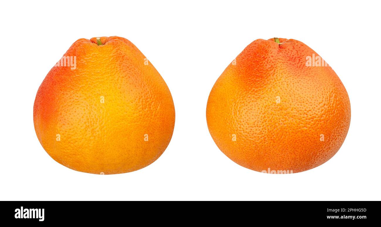 Percorso di pompelmo isolato su bianco Foto Stock