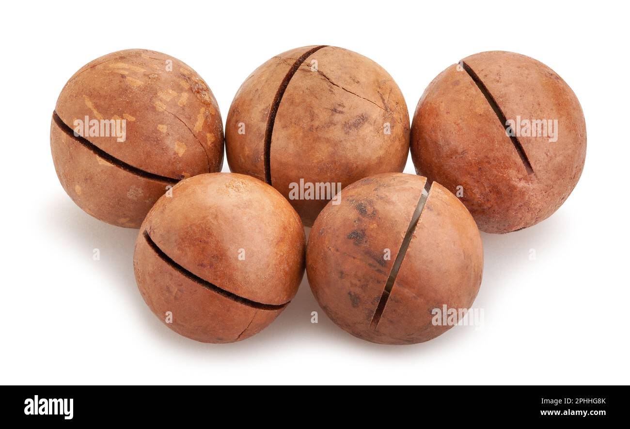 percorso di noci di macadamia isolato su bianco Foto Stock