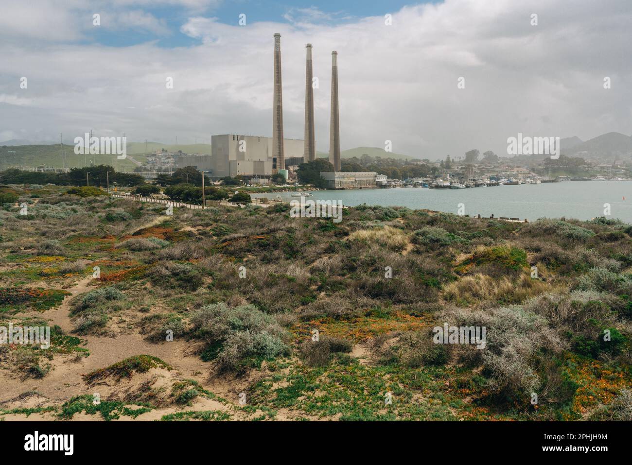 Morro Bay state Park, California, USA - 22 marzo 2023. Morro Bay, famosa attrazione della città, centrali elettriche visibili a 10 km di distanza Foto Stock