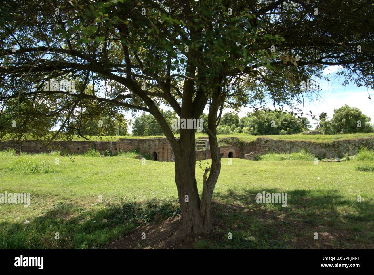 Un albero nel mezzo del Palazzo Surosowan, un patrimonio culturale del periodo Sultanato di Banten situato in un'area ora chiamata Banten lama (Old Banten) a Serang, Banten, Indonesia, in questa foto scattata nel 2010. "La sostenibilità del patrimonio culturale è fortemente legata all'effettiva partecipazione delle comunità locali alla conservazione e alla gestione di queste risorse", secondo un team di scienziati guidati da Sunday Oladipo Oladeji nel loro articolo di ricerca pubblicato su Sage Journals il 28 ottobre 2022. L'area di Banten lama (Old Banten) era una parte dell'importante porto di Banten Sultanato,... Foto Stock