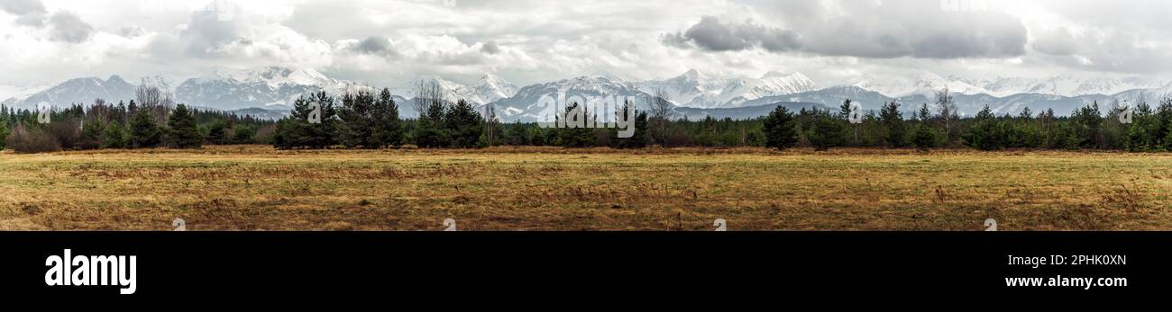 Vista panoramica sui Monti Tatra, la Polonia vista da più lontano. Vette innevate delle montagne rocciose e cielo nuvoloso in primavera. NAT Foto Stock