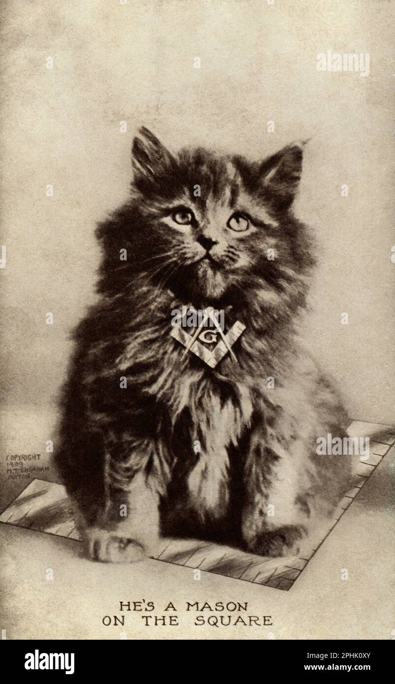 Cartolina Masonic. È un Mason sulla piazza. Gatto Masonico Foto Stock