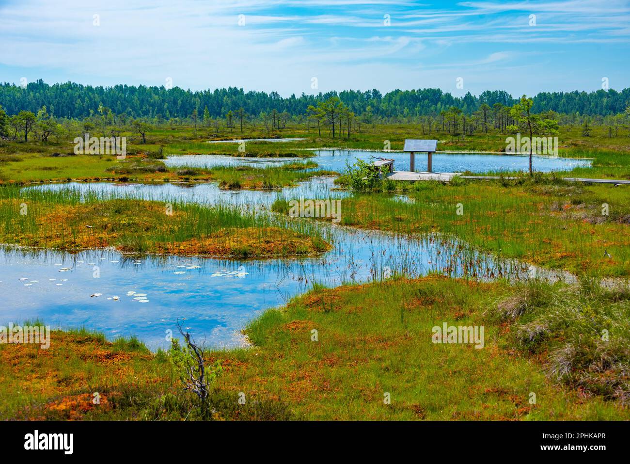 Paesaggio del parco nazionale Soomaa in Estonia. Foto Stock