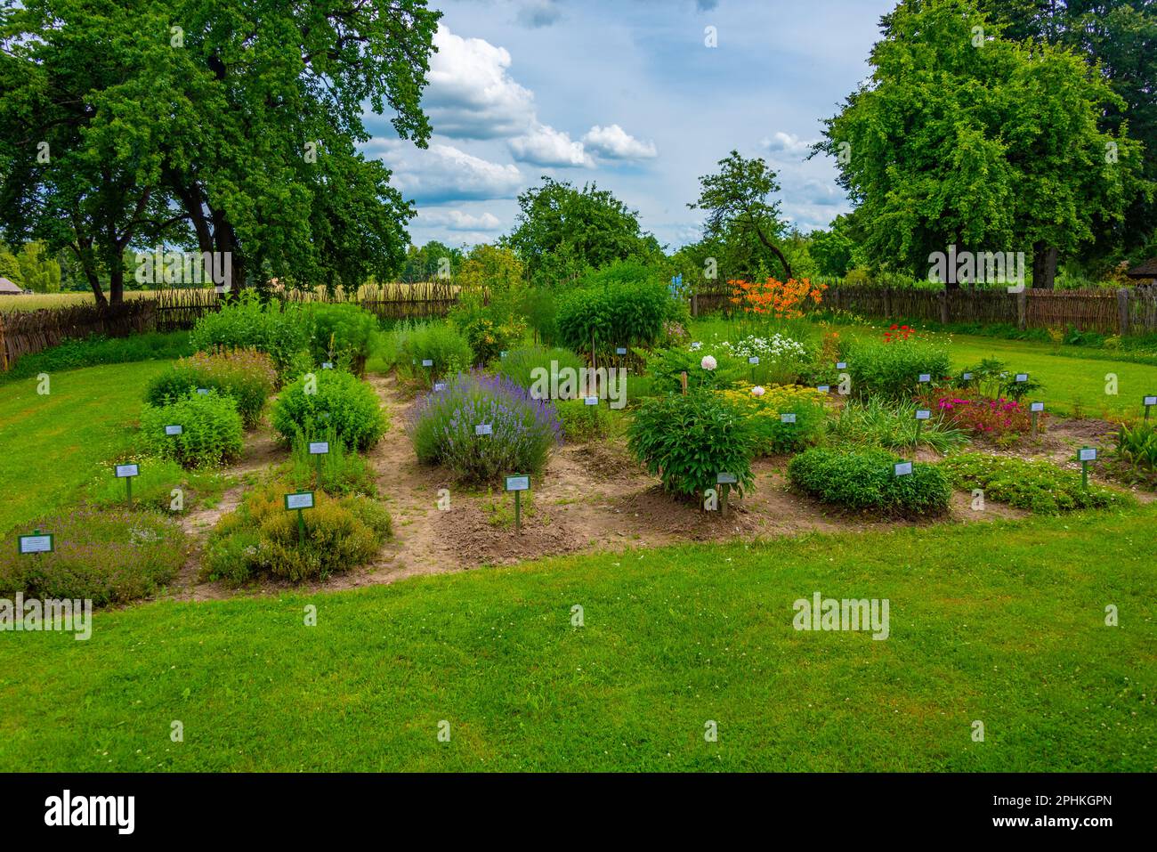 Giardino di erbe al Museo Etnografico all'aperto della Lituania a Kaunas. Foto Stock