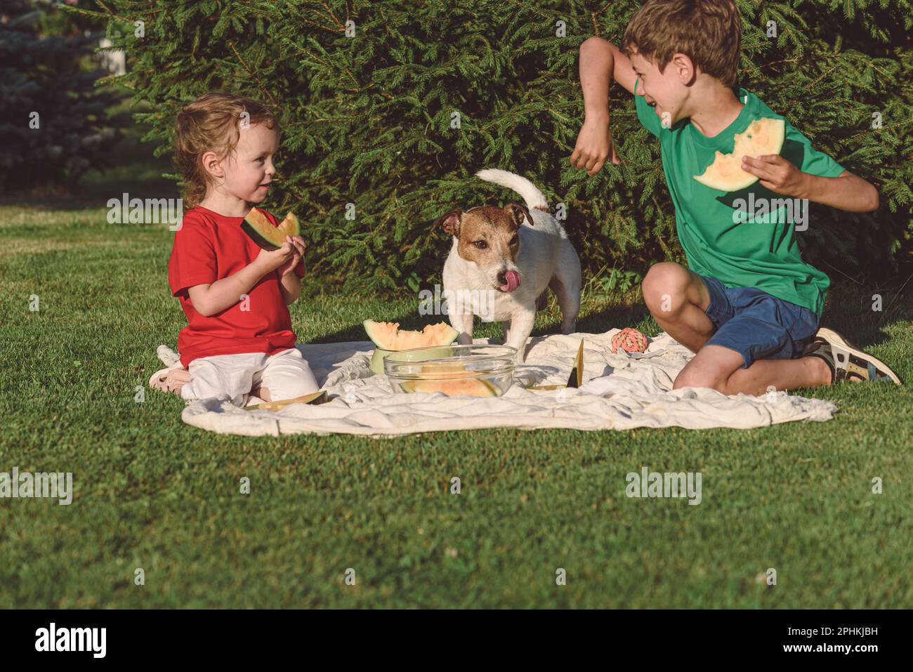 La famiglia mangia il cocomero giallo durante il picnic al prato verde dell'erba Foto Stock