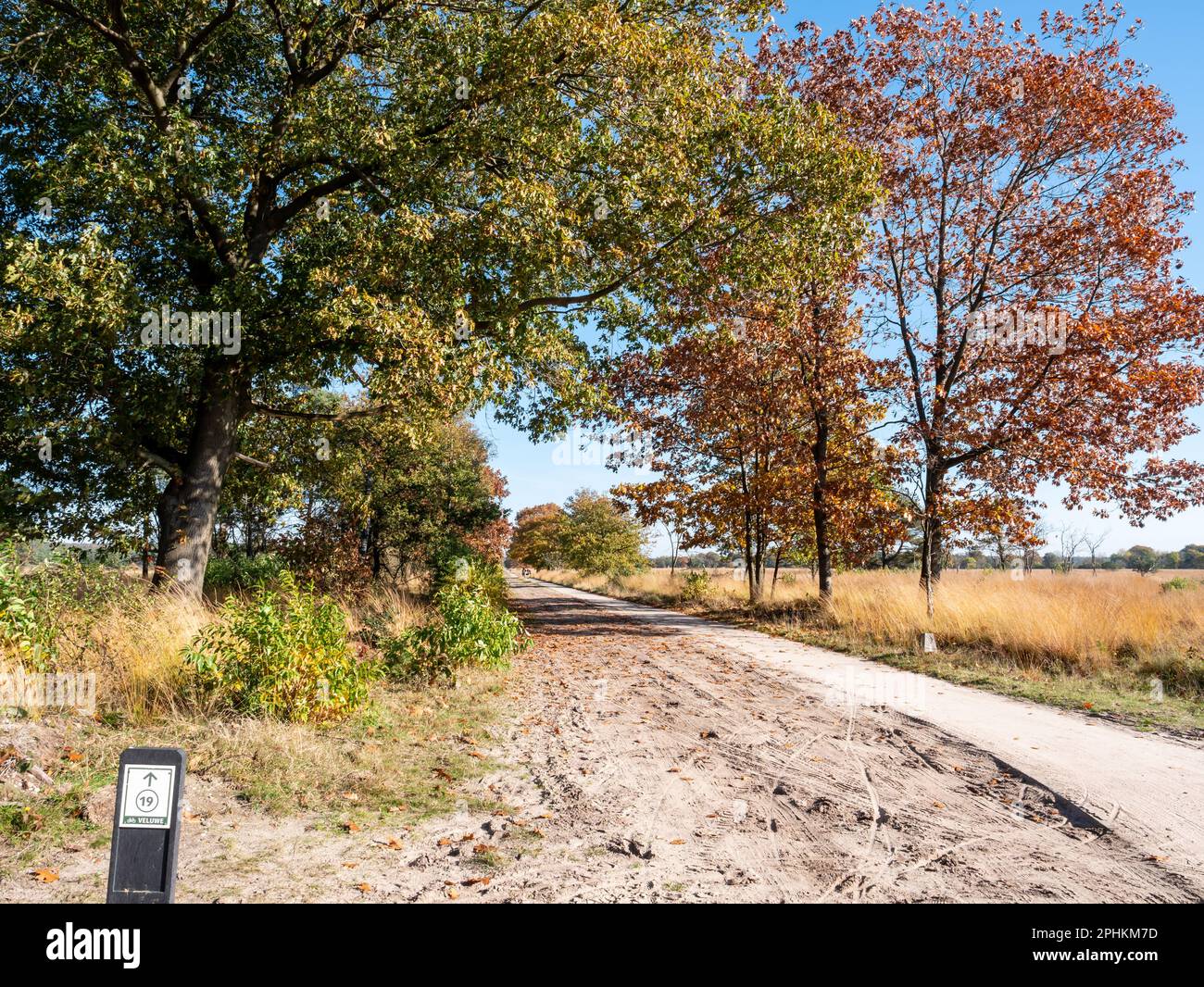 Percorso ciclabile direzione segnaletica e percorso ciclabile in autunno nella riserva naturale Veluwe vicino a Kootwijk, Gelderland, Paesi Bassi Foto Stock