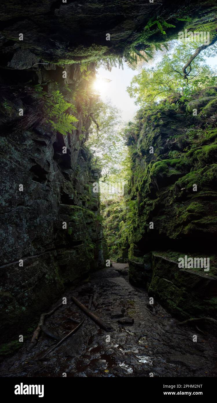 Rocce e piante nella chiesa di Lud, Staffordshire, Inghilterra. Un profondo abisso creato da una massiccia frana, un paesaggio coperto di muschio pieno di storia, miti. Foto Stock