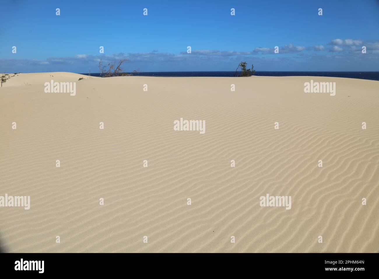 Paesaggio desertico con dune e onde di sabbia Foto Stock