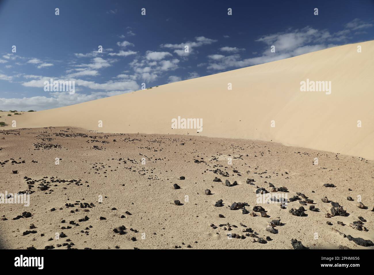 Paesaggio desertico con dune e onde di sabbia Foto Stock