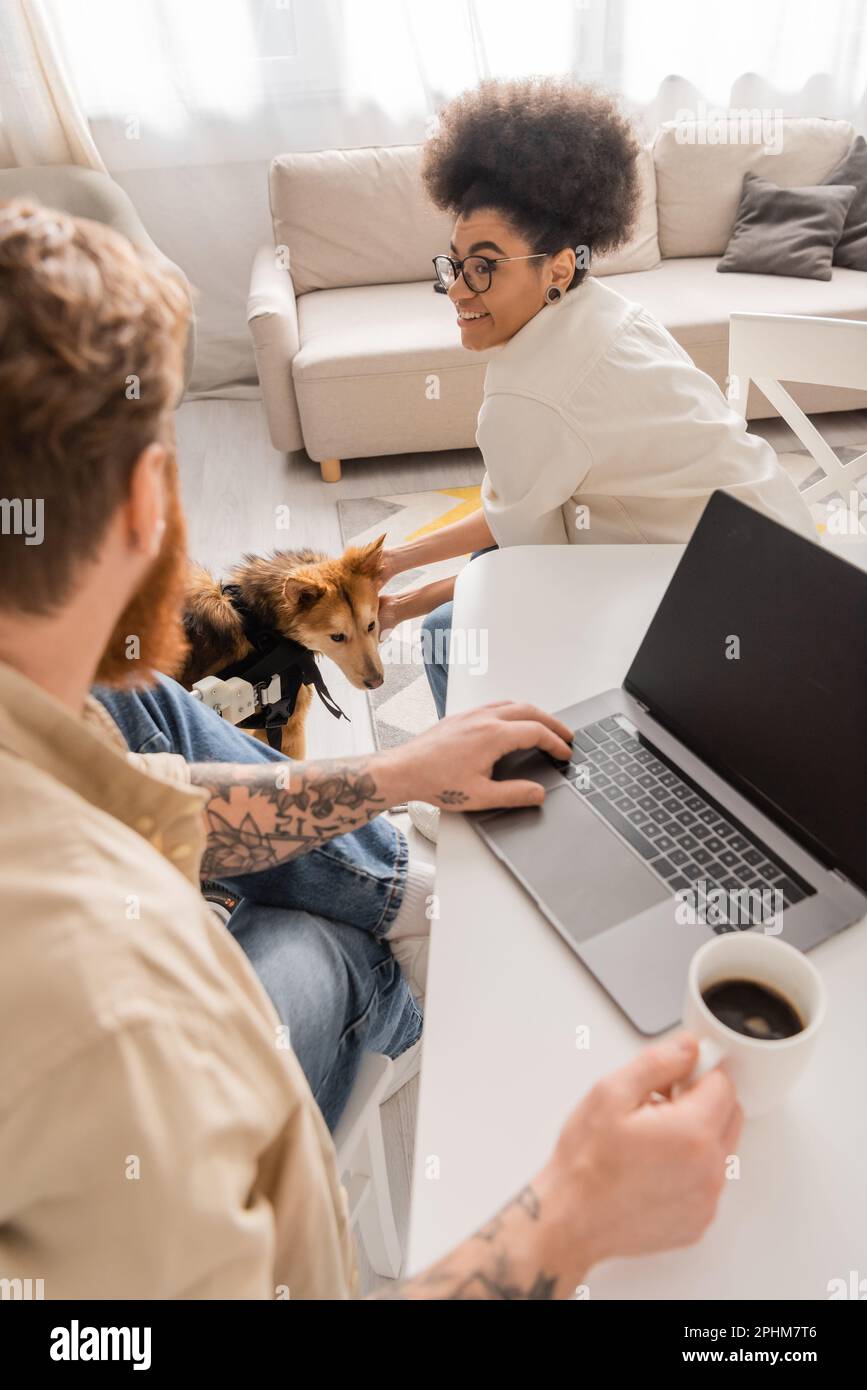 Allegra ragazza afroamericana accarezzare cane handicappato vicino a boyfriend sfocato con computer portatile e caffè a casa, immagine stock Foto Stock Allegra ragazza afroamericana accarezzare cane handicappato vicino a boyfriend sfocato con computer portatile e caffè a casa, immagine stock Foto Stock