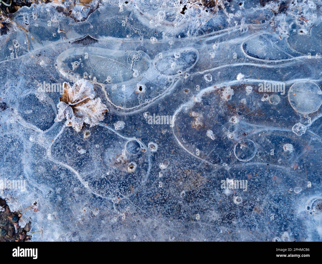 La bellezza è intorno a noi. Ma a volte devi guardare giù... Un recente periodo sostenuto di temperature subzero ha portato a stagni ghiacciati e pozze Thr Foto Stock