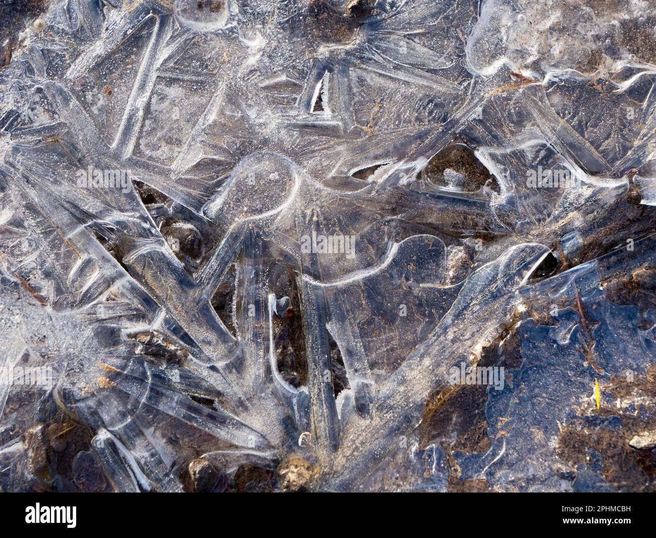 La bellezza è intorno a noi. Ma a volte dovete guardare in giù. Un recente periodo sostenuto di temperature subzero ha portato a stagni ghiacciati e pozze attraverso Foto Stock