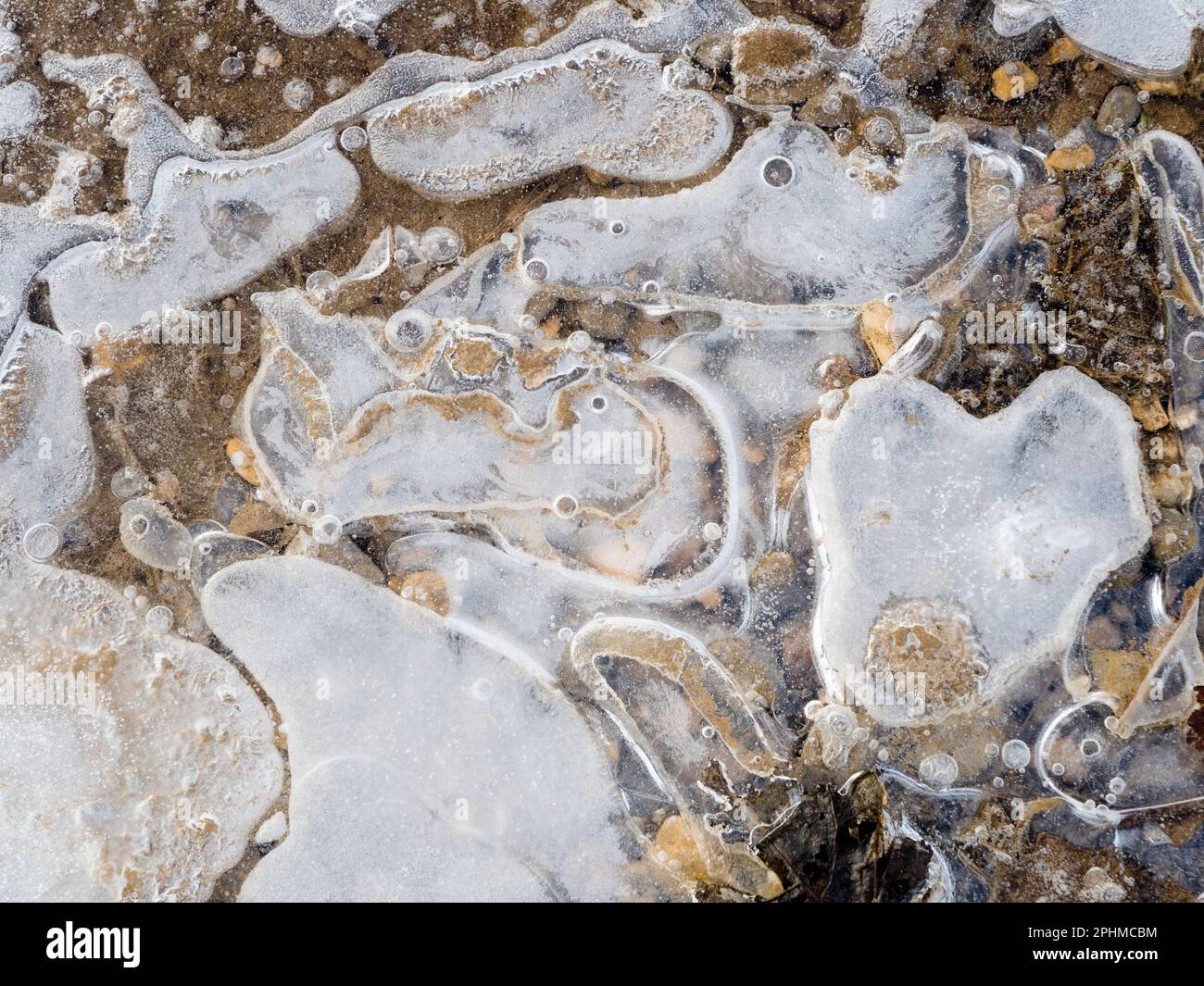 La bellezza è intorno a noi. Ma a volte dovete guardare in giù. Un recente periodo sostenuto di temperature subzero ha portato a stagni ghiacciati e pozze attraverso Foto Stock