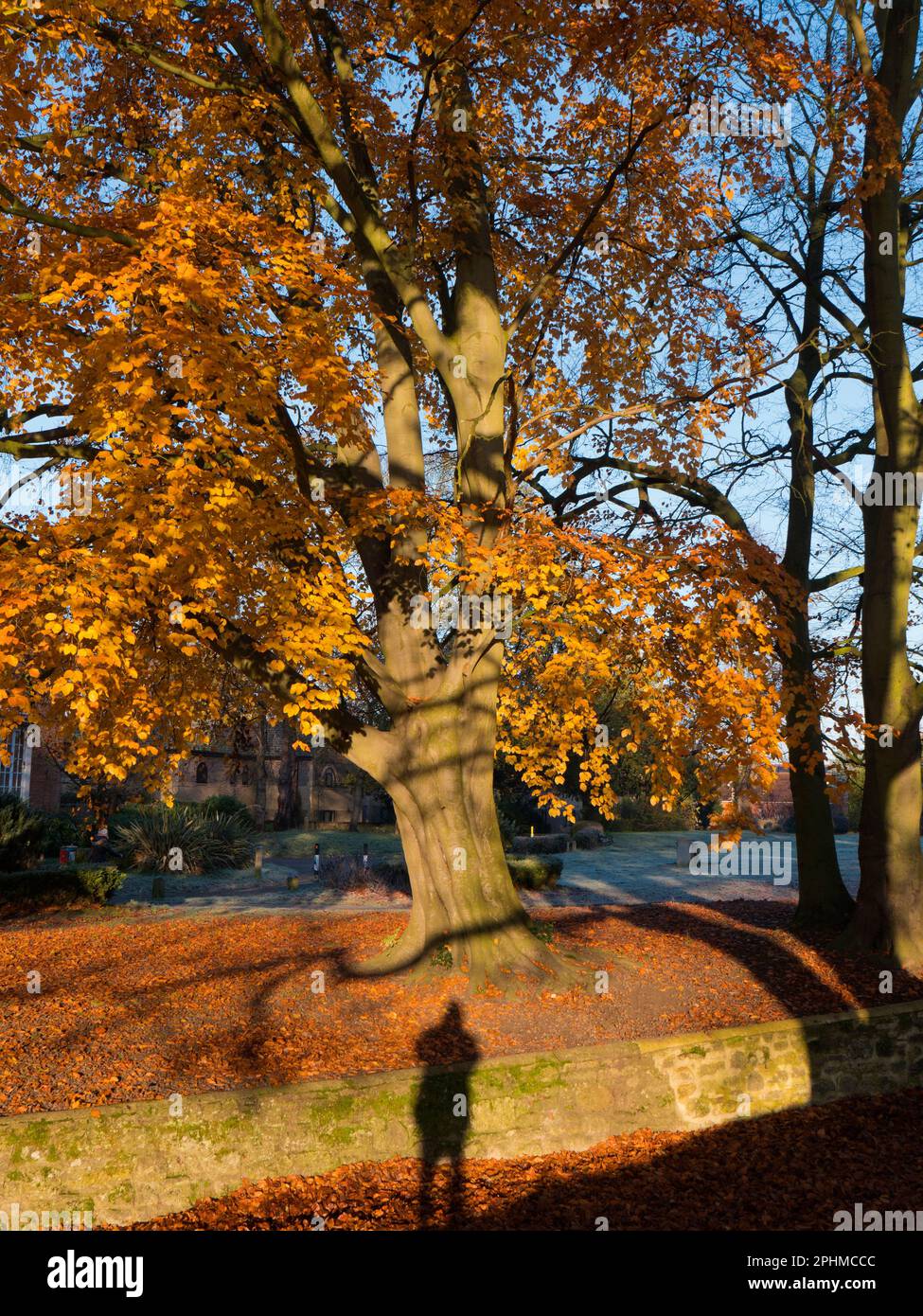 La mia ombra tra i vivaci colori autunnali a Bury Knowle Park, Oxford 2 Foto Stock