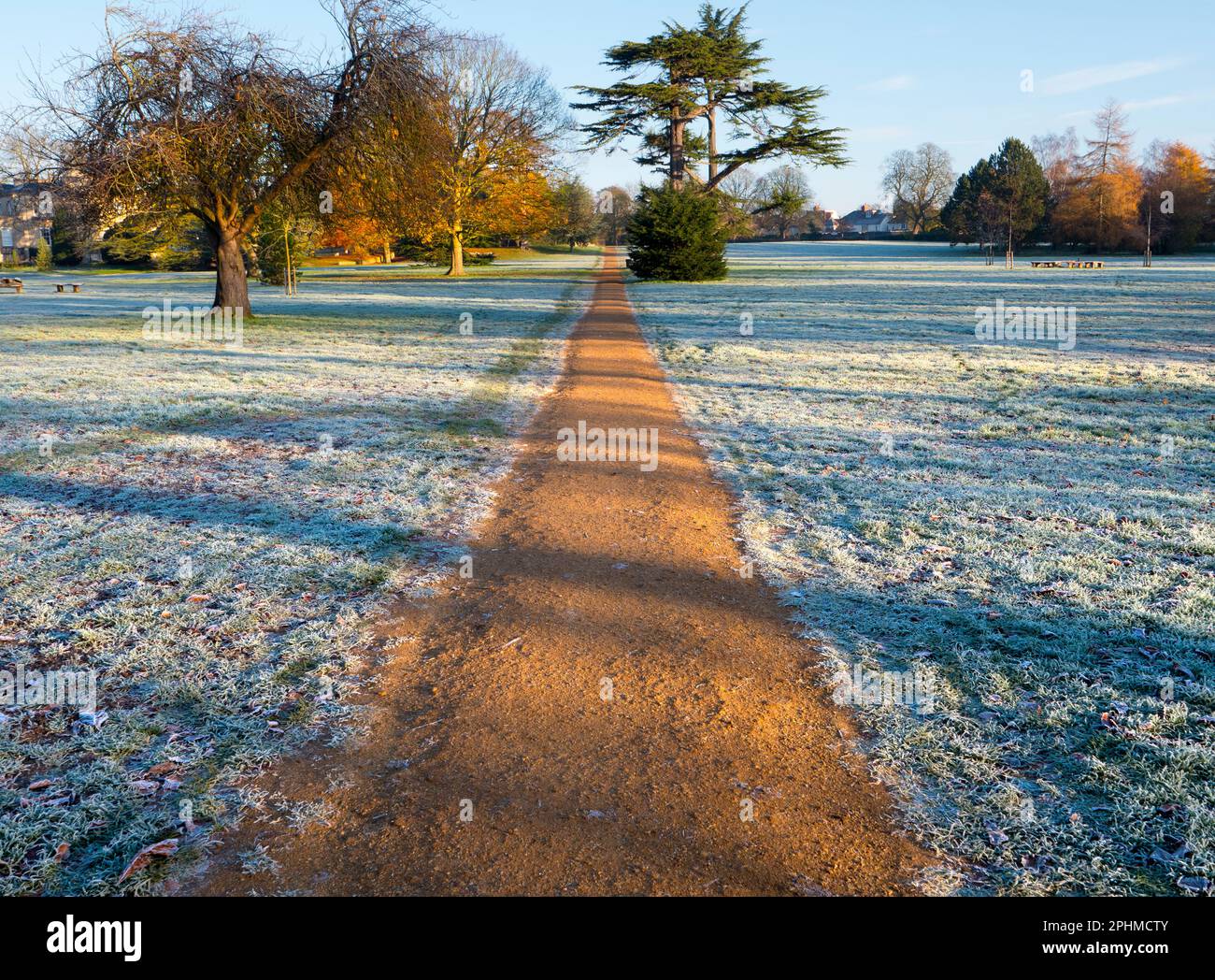 Sentiero deserto a Bury Knowle Park, Oxford, in una mattinata ghiacciata Foto Stock