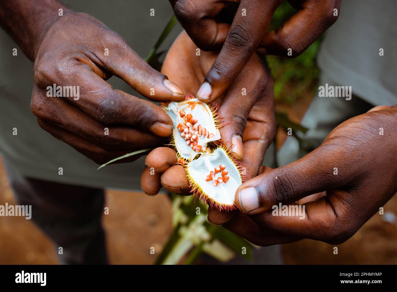 Un primo piano di mani afroamericane che separano un rossetto Foto Stock