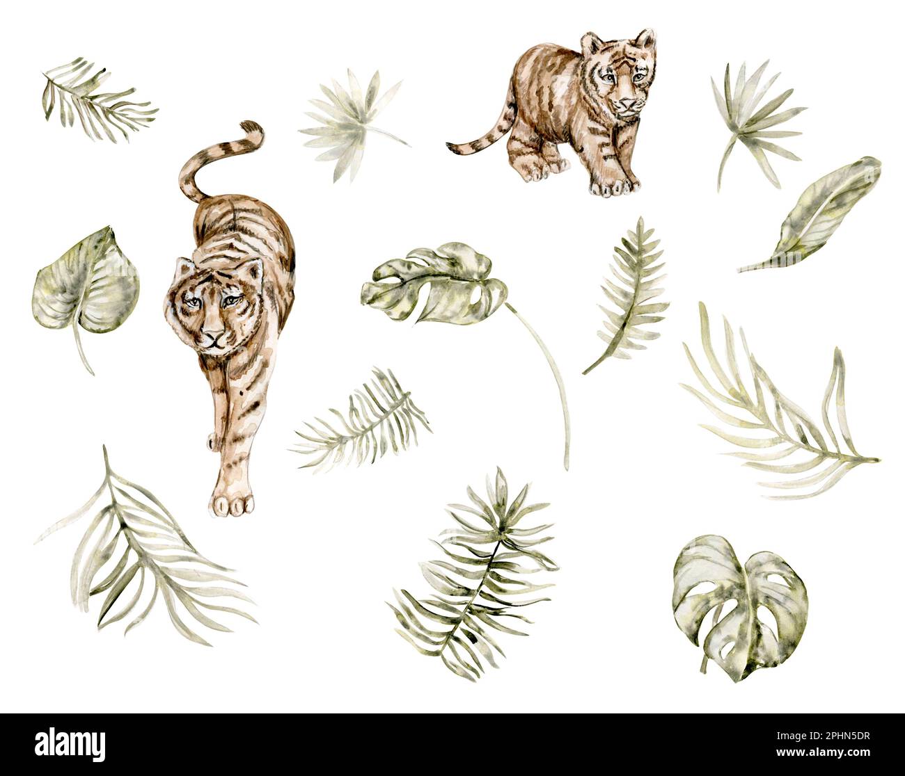 Acquerello dipinto a mano dagli animali della giungla e un ramchon di palma su sfondo bianco. Perfetto per la decorazione di poster per vivaio, Foto Stock