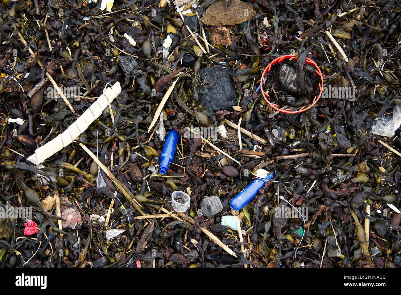 L'inquinamento della plastica sulla riva del mare distrugge il pianeta Foto Stock