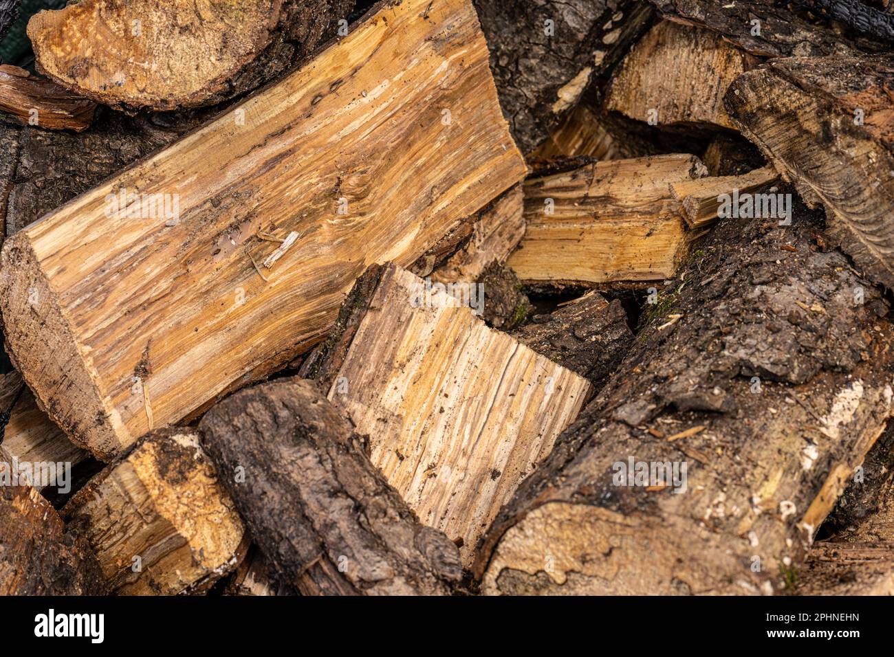Tronchi di legno umido di fuoco per essere asciugato Foto Stock