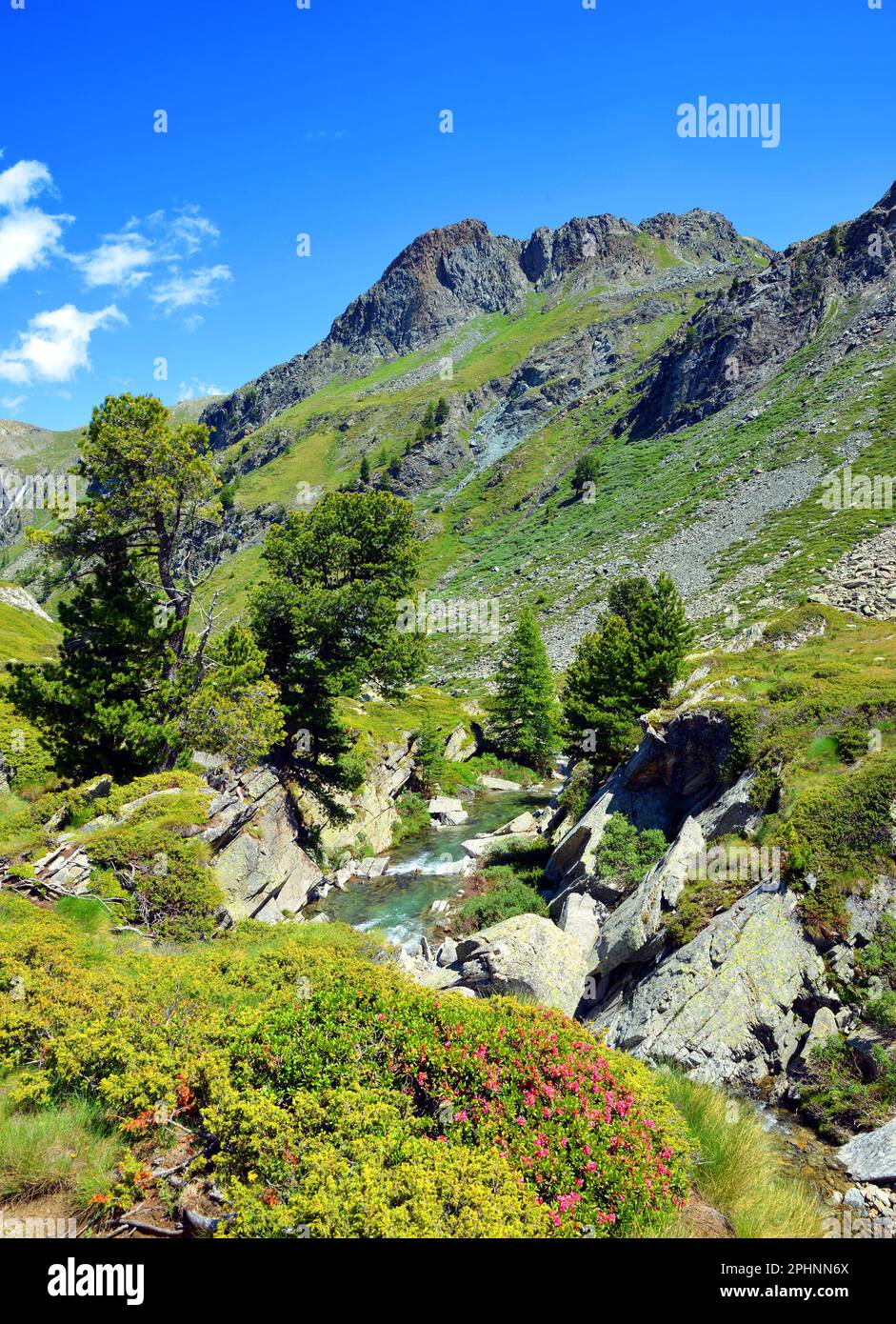 Parco Nazionale del Gran Paradiso. Valle d'Aosta, Italia. Bel paesaggio di montagna in giornata di sole. Foto Stock