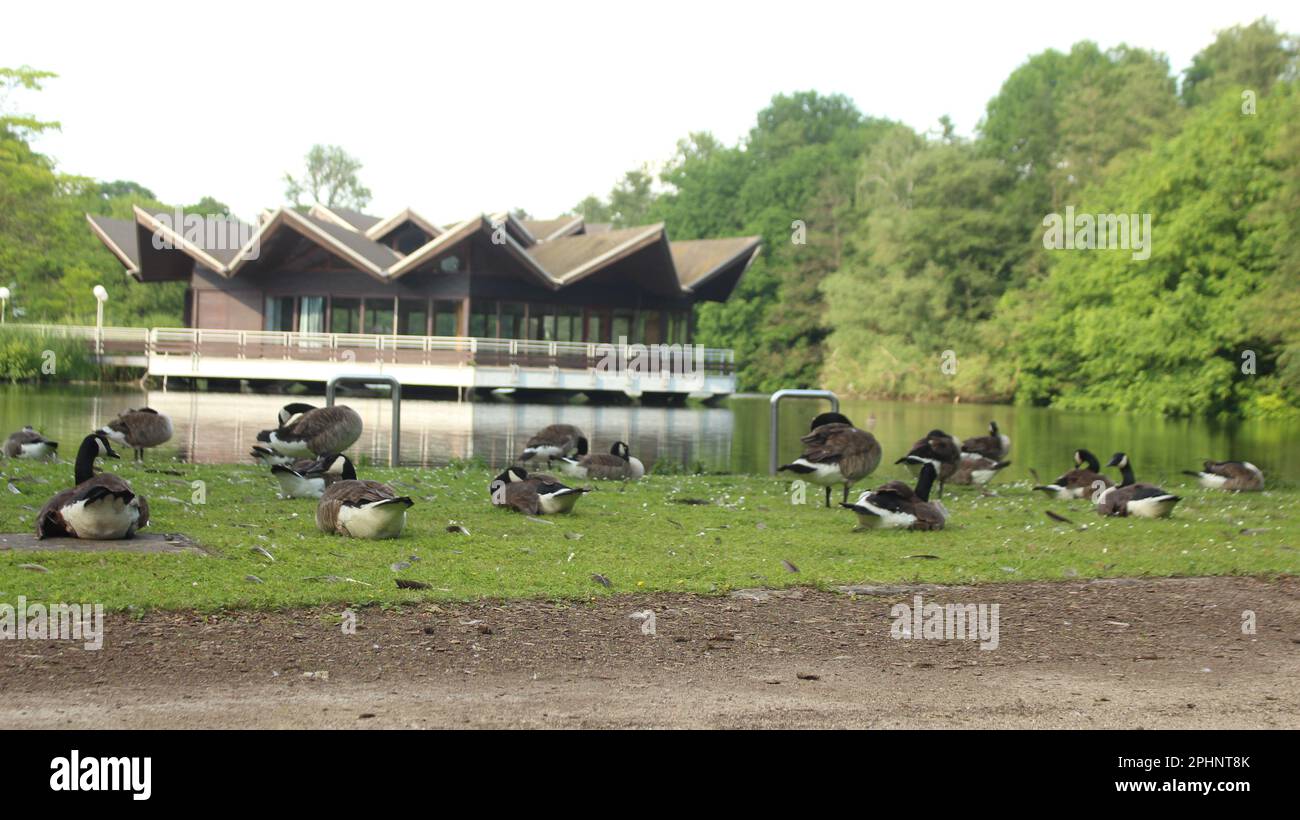 Westfalen Park, Dortmund, Germania Foto Stock