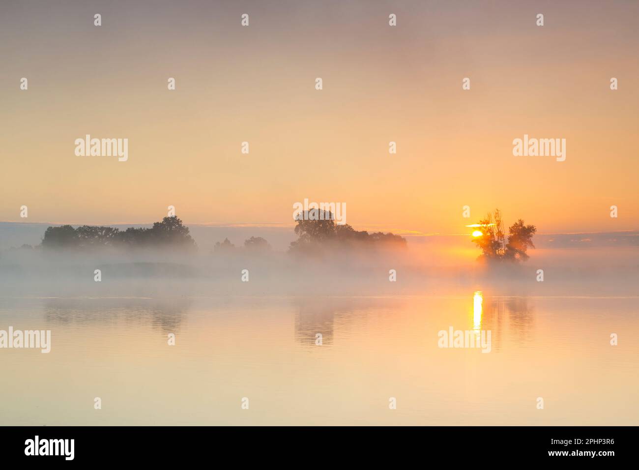 Fiume Elba coperto di nebbia all'alba / alba presso la bassa Sassonia Elbe Valley Biosfera Riserva in estate, bassa Sassonia / Niedersachsen, Germania Foto Stock