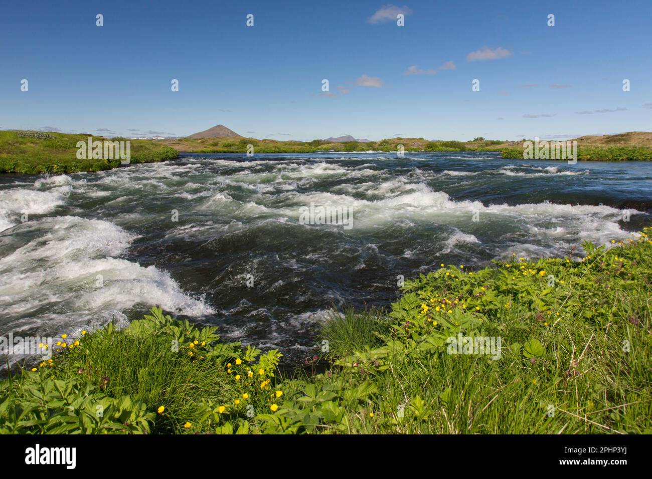 L'effluente fiume Laxá in estate, uno dei migliori fiumi di trote brune del mondo, che sfocia dal lago Mývatn nel nord dell'Islanda Foto Stock