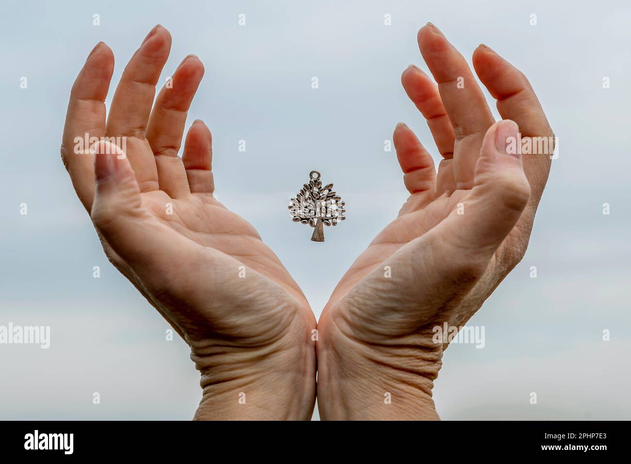 Un ciondolo d'argento a forma di albero di vita galleggia nell'aria tra le palme delle mani di una donna Foto Stock