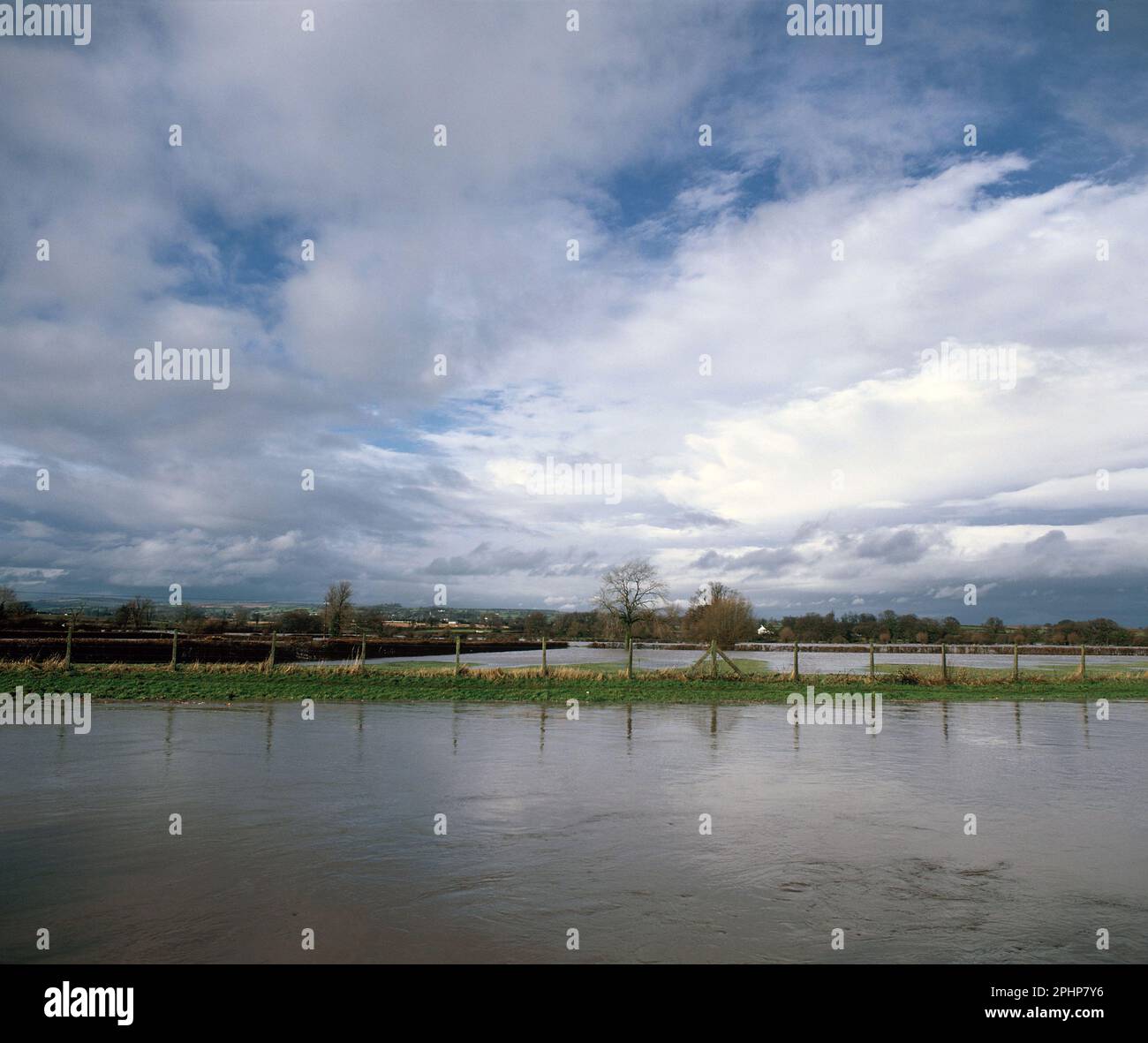 Regno Unito. Inghilterra. Somerset. Tonalità fiume. Paesaggio inondato. Foto Stock