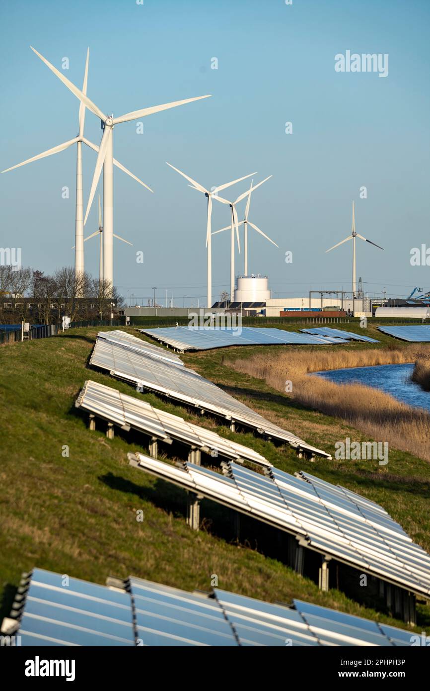 Parco solare sulla diga Slaperdijk vicino al progetto di test Eemshaven, 17.000 moduli solari sono stati installati su un buon 5 KM, i Paesi Bassi ha più di 22,00 Foto Stock