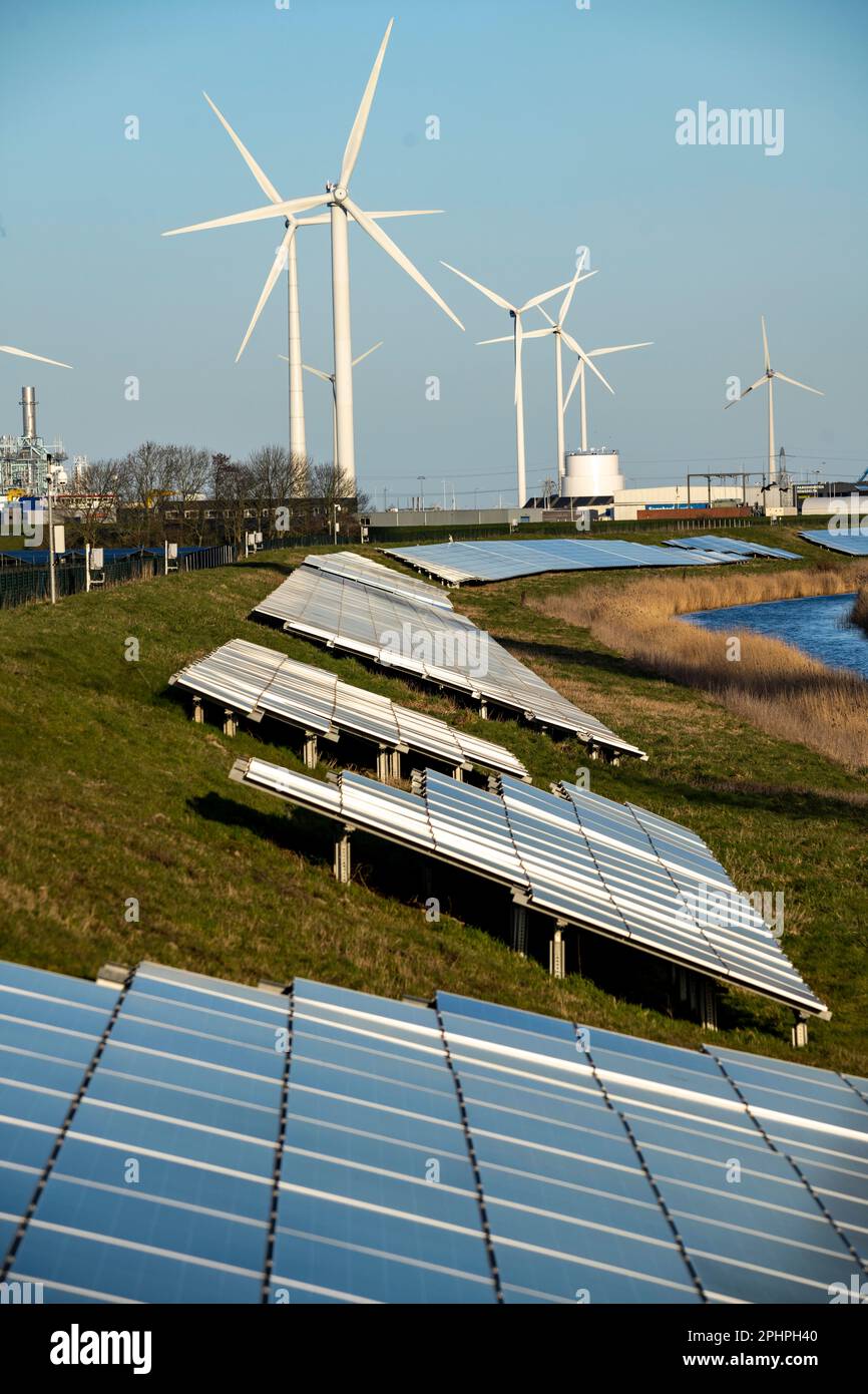 Parco solare sulla diga Slaperdijk vicino al progetto di test Eemshaven, 17.000 moduli solari sono stati installati su un buon 5 KM, i Paesi Bassi ha più di 22,00 Foto Stock