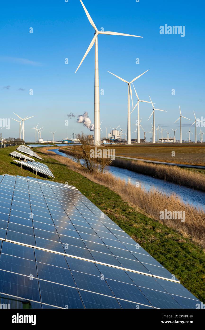 Parco solare sulla diga Slaperdijk vicino al progetto di test Eemshaven, 17.000 moduli solari sono stati installati su un buon 5 KM, i Paesi Bassi ha più di 22,00 Foto Stock