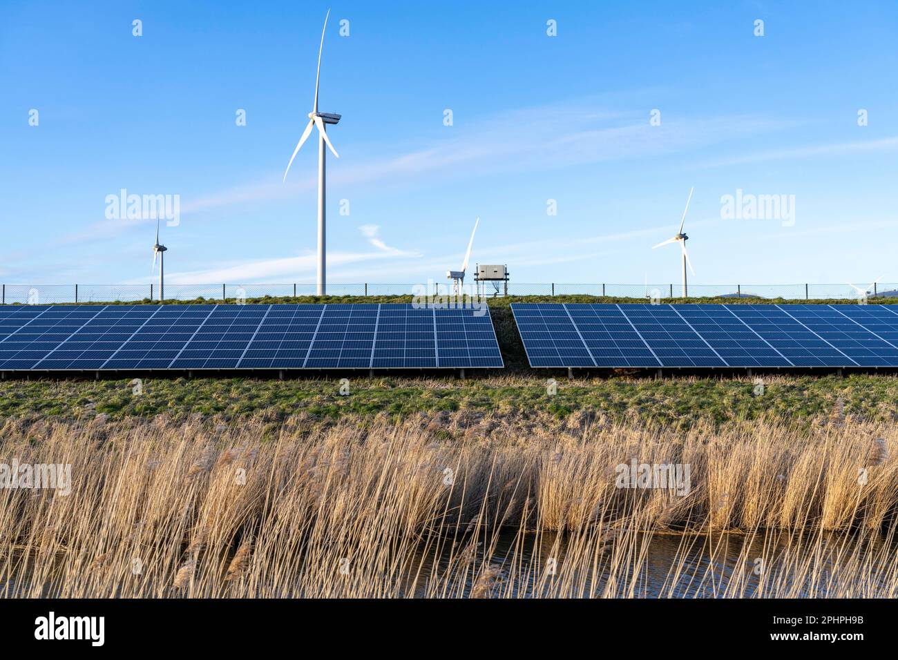 Parco solare sulla diga Slaperdijk vicino al progetto di test Eemshaven, 17.000 moduli solari sono stati installati su un buon 5 KM, i Paesi Bassi ha più di 22,00 Foto Stock